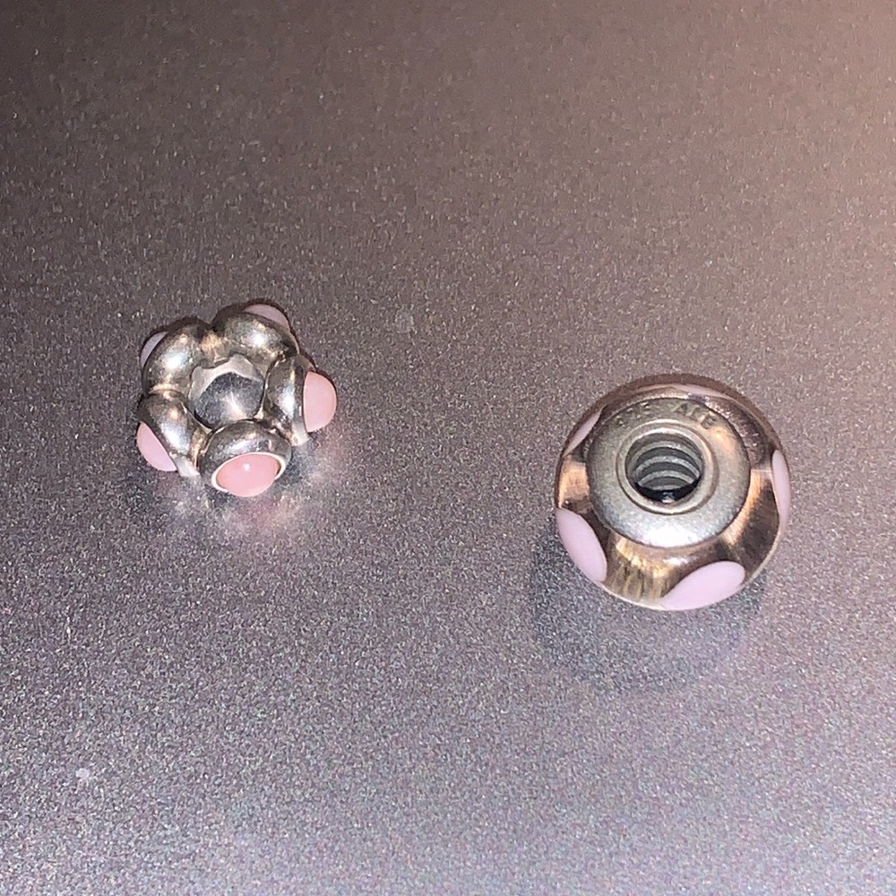 Pandora silver charms